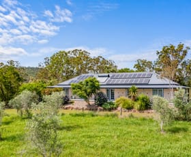 Rural / Farming commercial property for sale at 1361 Dungog Road Dungog NSW 2420