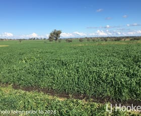 Rural / Farming commercial property for sale at Yetman Road Warialda NSW 2402