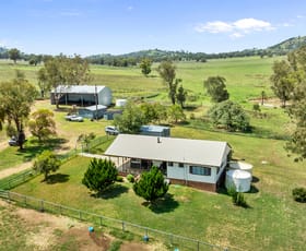 Rural / Farming commercial property sold at 952 Halls Creek Road Halls Creek NSW 2346