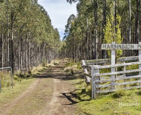 Rural / Farming commercial property for sale at 129 Salmons Road Rhyndaston TAS 7120