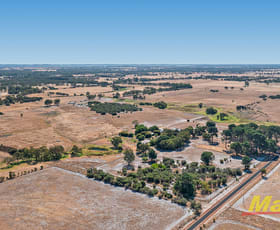 Rural / Farming commercial property sold at 225 Paull Road West Pinjarra WA 6208