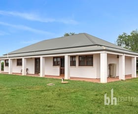 Rural / Farming commercial property for sale at 20 Germein Road Barmera SA 5345