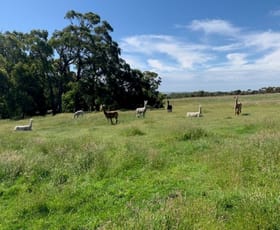 Rural / Farming commercial property for sale at Turrong Road Cooriemungle VIC 3268