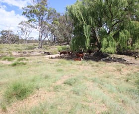 Rural / Farming commercial property sold at 335 Washpool Creek Road Tenterfield NSW 2372
