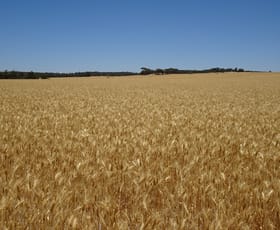 Rural / Farming commercial property for sale at 1104 Shaddick Road East Pingelly WA 6308