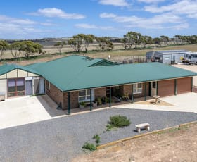 Rural / Farming commercial property for sale at 65 Marks Road Mannum SA 5238