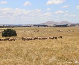 Rural / Farming commercial property sold at 3100 Ballarat-Maryborough Road Clunes VIC 3370