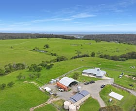 Rural / Farming commercial property for sale at 101 Kalimna West Road Kalimna West VIC 3909