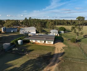 Rural / Farming commercial property for sale at 635 Curries Lane Milbrulong NSW 2656