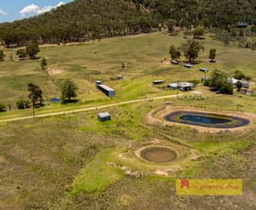 Rural / Farming commercial property for sale at 228 Buckaroo Road Mudgee NSW 2850