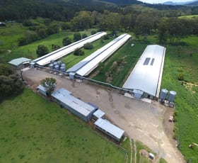 Rural / Farming commercial property for sale at 2205 The Bucketts Way Stroud NSW 2425