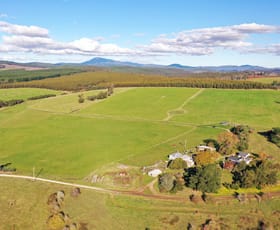 Rural / Farming commercial property for sale at 120 Security Road Pipers River TAS 7252
