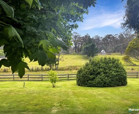 Rural / Farming commercial property for sale at 76 Gray Road St Marys TAS 7215