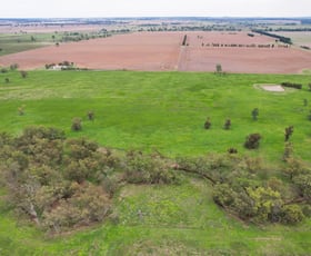 Rural / Farming commercial property sold at "Billabong Park", 11 Brolgan Road Parkes NSW 2870