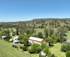 Rural / Farming commercial property sold at New England Highway Wingen NSW 2337