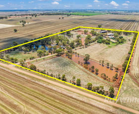 Rural / Farming commercial property for sale at 813 Hanrahan Road Nanneella VIC 3561