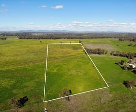 Rural / Farming commercial property for sale at 226 Kelvin Road Gunnedah NSW 2380