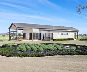 Rural / Farming commercial property sold at 366 Kelsos Lane Tamworth NSW 2340