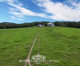 Rural / Farming commercial property for sale at 219 Clacherty Road Julatten QLD 4871