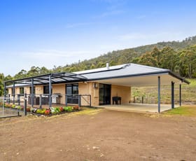 Rural / Farming commercial property for sale at 643 She Oak Road Judbury TAS 7109