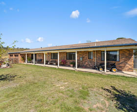 Rural / Farming commercial property sold at 3212 Jerangle Road Captains Flat NSW 2623