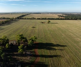 Rural / Farming commercial property sold at 2129 The Gap Road Wagga Wagga NSW 2650