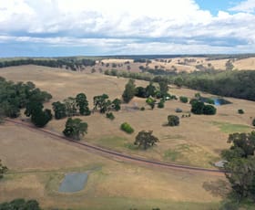 Rural / Farming commercial property sold at 3378 Perup Road Manjimup WA 6258