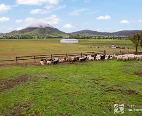Rural / Farming commercial property sold at 533 Burrundulla Road Mudgee NSW 2850