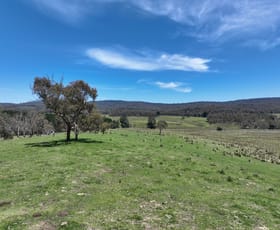 Rural / Farming commercial property sold at 171 Haydens Bog Road Delegate NSW 2633