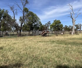 Rural / Farming commercial property for sale at 50 Warrena Road Coonamble NSW 2829