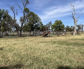 Rural / Farming commercial property sold at 50 Warrena Road Coonamble NSW 2829