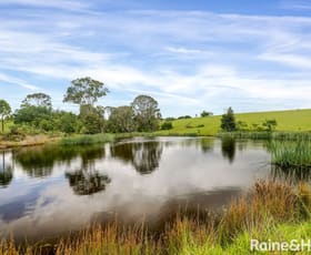 Rural / Farming commercial property for sale at 55 Greenmeadow Lane Nowra Hill NSW 2540