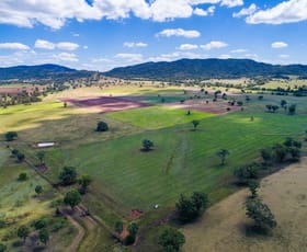 Rural / Farming commercial property for sale at Wolli 2006 Old Winton Road Winton NSW 2344