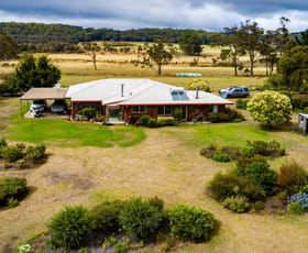 Rural / Farming commercial property for sale at 114 Walter Pierce Road Hazelvale WA 6333