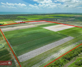 Rural / Farming commercial property for sale at 509A Lindemans Road Moore Park Beach QLD 4670