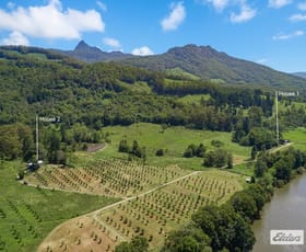 Rural / Farming commercial property for sale at 677 Tyalgum Road Eungella NSW 2484