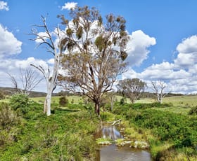 Rural / Farming commercial property for sale at Lot 115 863 Taylors Flat Road Taylors Flat NSW 2586