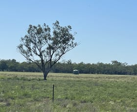 Rural / Farming commercial property for sale at 1737 East Culgoa Road Brewarrina NSW 2839