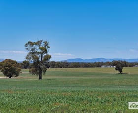 Rural / Farming commercial property for sale at Watta Wella Road Greens Creek VIC 3387