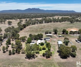Rural / Farming commercial property for sale at 84 Glenalvon Road Murrurundi NSW 2338
