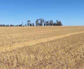 Rural / Farming commercial property for sale at Lot 20248 Purdy- Doherty Road Kununoppin WA 6489