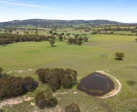 Rural / Farming commercial property for sale at 214 Pyangle Road Camboon NSW 2849