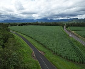 Rural / Farming commercial property for sale at Lot 6 Abergowrie Road Long Pocket QLD 4850