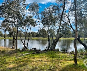 Rural / Farming commercial property sold at 483 Gwabegar Road Cuttabri NSW 2388