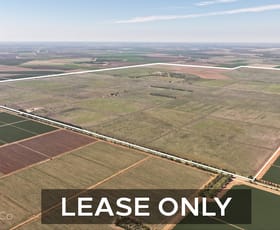 Rural / Farming commercial property for sale at Willbriggie NSW 2680