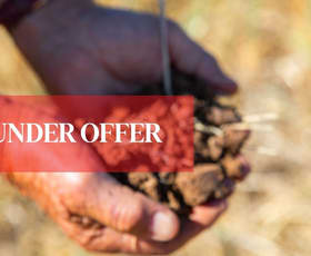 Rural / Farming commercial property sold at Marrabel Road Hamilton SA 5373