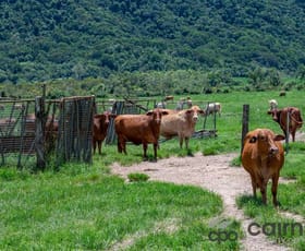 Rural / Farming commercial property for sale at Lot 3/505 Mourilyan Harbour Road Mourilyan Harbour QLD 4858
