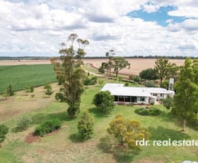 Rural / Farming commercial property for sale at 137 Gragin Rd, Delungra Inverell NSW 2360