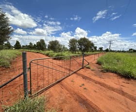 Rural / Farming commercial property for sale at 183 Albert Park Charleville QLD 4470