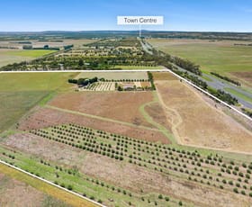 Rural / Farming commercial property sold at 3290 Princes Highway Winchelsea VIC 3241